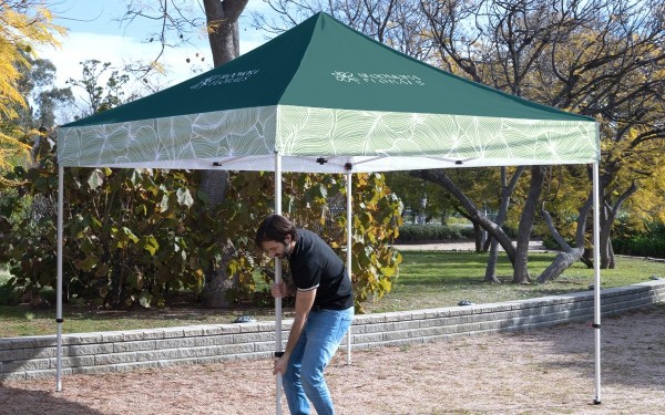 Picture of Canopy Tents